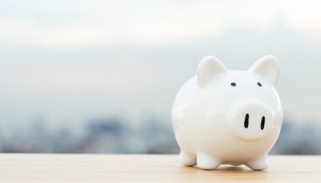 This is a photo of a piggy bank, representing an emergency fund.