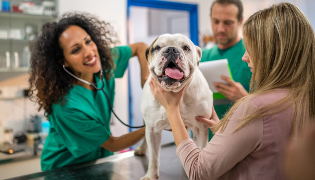 If considering veterinary practice ownership, deciding between starting a veterinary practice from scratch or buying an existing one can be a difficult decision. Weighing the pros and cons of each option can make the decision a little simpler.